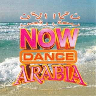 کاور آهنگ Ayshalak از Elissa