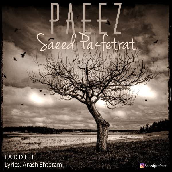 کاور آهنگ JADDEH از SAEED PAKFETRAT