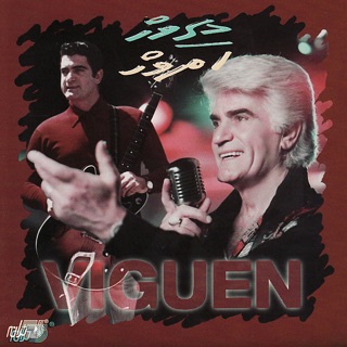 کاور آهنگ Zan از Viguen