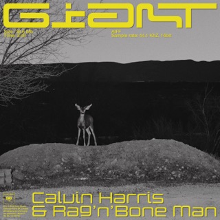 کاور آهنگ Giant از Calvin Harris, Rag’n’Bone Man