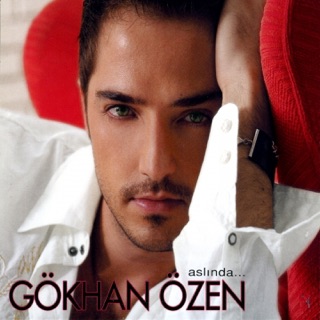 کاور آهنگ Birtanesisin از Gökhan Özen