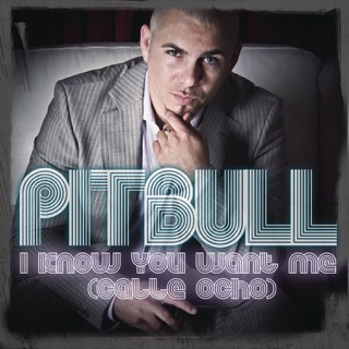 کاور آهنگ I Know You Want Me (Calle Ocho) [Extended Mix] از Pitbull