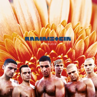 کاور آهنگ Das alte Leid از Rammstein