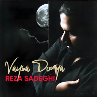 کاور آهنگ Mamnoonam از Reza Sadeghi