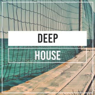 کاور آهنگ Movement of Whale از DEEP HOUSE