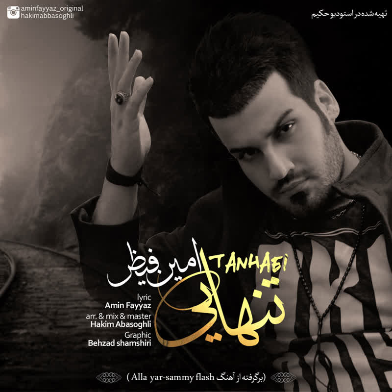 کاور آهنگ Tanhaei از Amin Fayyaz