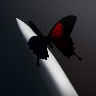 کاور آهنگ Cooped Up (feat. Roddy Ricch) از Post Malone