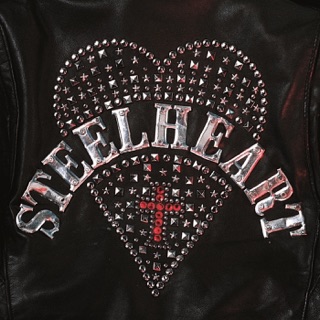 کاور آهنگ She's Gone از Steelheart