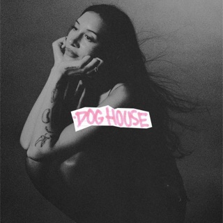 کاور آهنگ DOGHOUSE از Drake & Yeat