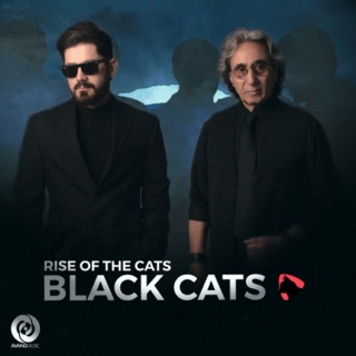 کاور آهنگ Emshab از Black Cats