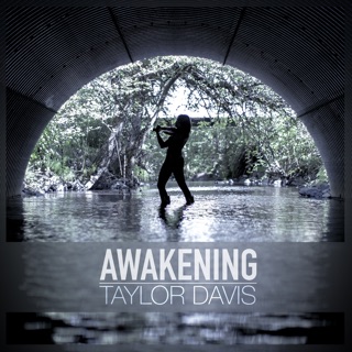 کاور آهنگ Awakening از Taylor Davis