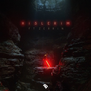 کاور آهنگ Hislerim (feat. Zerrin Temiz) از Serhat Durmus