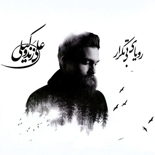 کاور آهنگ آواز نهفت و دشتی از Ali Zand Vakili