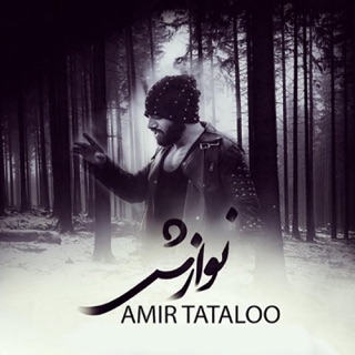 کاور آهنگ Navazesh (Concert Version) از Amir Tataloo