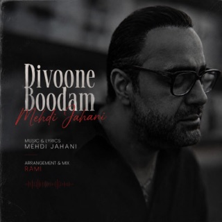 کاور آهنگ Divoone Boodam از Mehdi Jahani