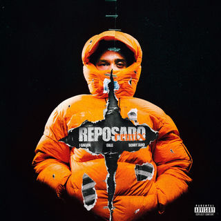 کاور آهنگ Reposado Remix از J Balvin