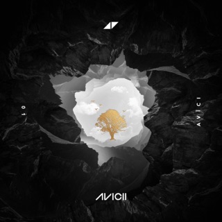 کاور آهنگ So Much Better (Avicii Remix) از Avicii & Sandro Cavazza