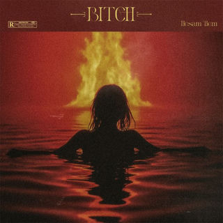 کاور آهنگ BITCH از HesamTiem