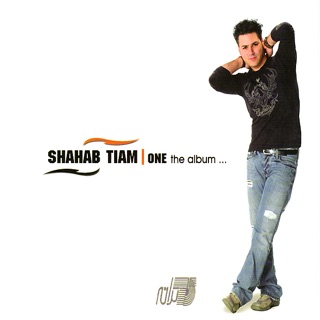 کاور آهنگ Sad Dafeh Goftam از Shahab Tiam