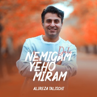 کاور آهنگ Nemigam Yeho Miram (Deli) از Alireza Talischi