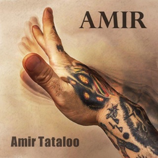 کاور آهنگ In Niz Bogzarad از Amir Tataloo