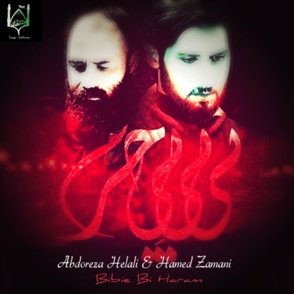 کاور آهنگ بیسیم چی از Hamed Zamani