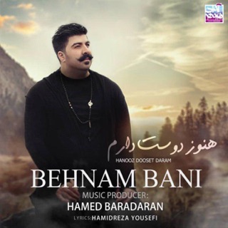 کاور آهنگ Hanooz Dooset Daram از Behnam Bani