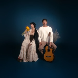 کاور آهنگ Meet Me at Midnight از Erfan