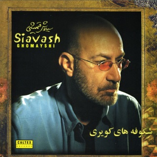 کاور آهنگ Zendegi از Siavash Ghomayshi