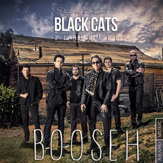 کاور آهنگ Booseh از Black Cats