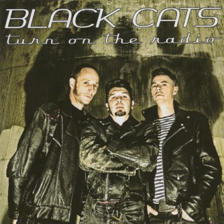 کاور آهنگ Nothing but Love از Black Cats