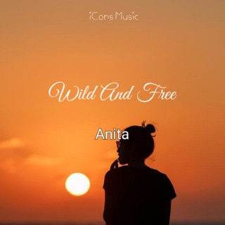 کاور آهنگ Midnight Rebel از Anita