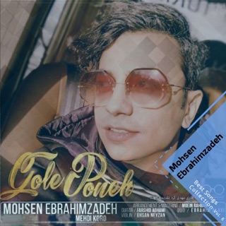 کاور آهنگ Gelaye از Mohsen Ebrahimzadeh