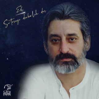 کاور آهنگ Setareye Donbaleh Dar از Ebi