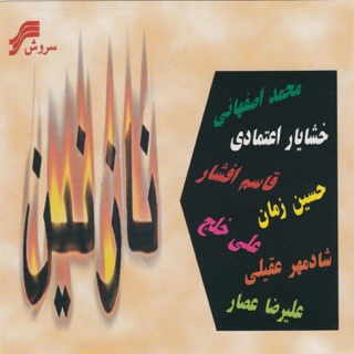 کاور آهنگ Dar Binahayate Shab از Shadmehr Aghili