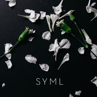 کاور آهنگ Meant to Stay Hid از SYML