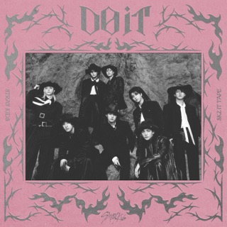 کاور آهنگ Stray Kids "Do It" M/V از Stray Kids