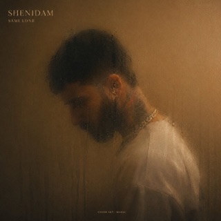 کاور آهنگ Shenidam از Samilone
