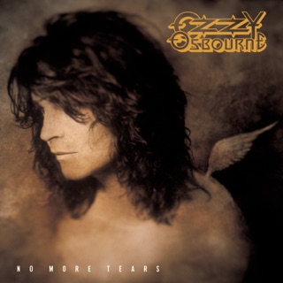کاور آهنگ No More Tears از Ozzy Osbourne