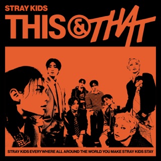 کاور آهنگ Stray Kids "그날 (Back Then)" Video (SONG by VER.) از Stray Kids