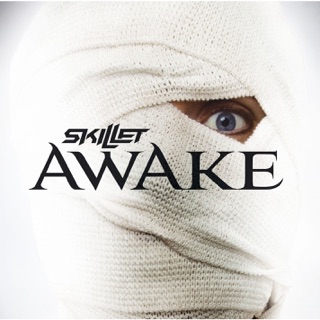 کاور آهنگ Awake And Alive از Skillet