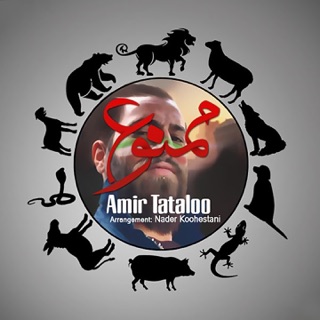 کاور آهنگ Too Koocheye Ma Ham Aroosi Mishe از Amir Tataloo