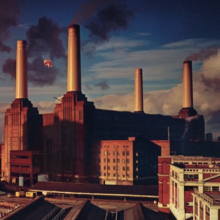 کاور آهنگ Dogs از Pink Floyd