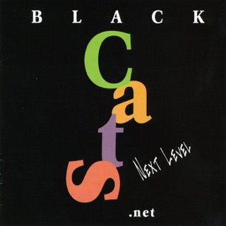 کاور آهنگ Leila از Black Cats