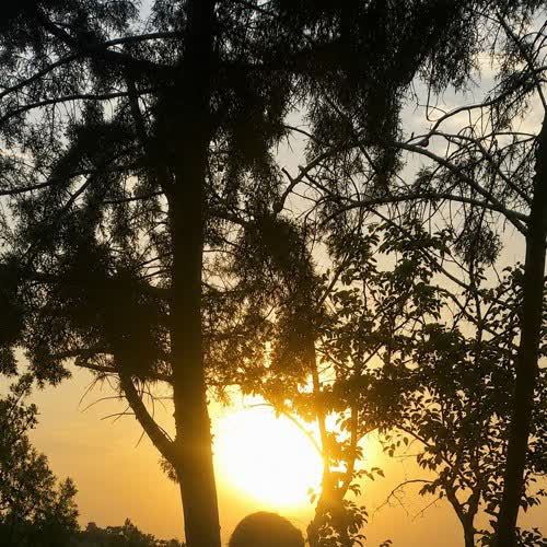 کاور آهنگ Roozaye Roshan از SaM