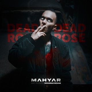 کاور آهنگ Dead Rose از Unknown
