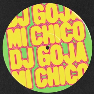 کاور آهنگ Mi Chico از Dj Goja