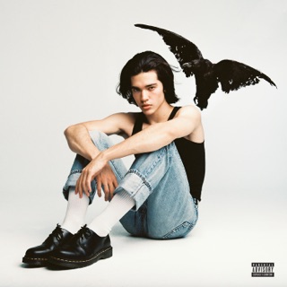 کاور آهنگ Heather از Conan Gray