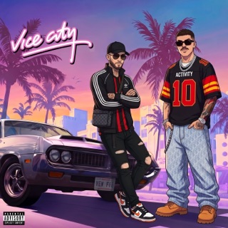 کاور آهنگ VICE CITY از Big Shaggy, Dariu$h & Danzzy