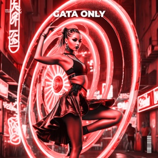 کاور آهنگ Gata Only (Remix) از FloyyMenor